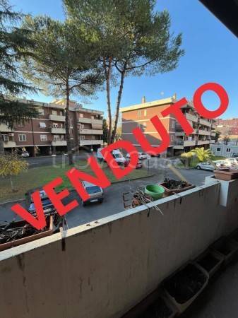 appartamento in vendita a Roma in zona Collatino