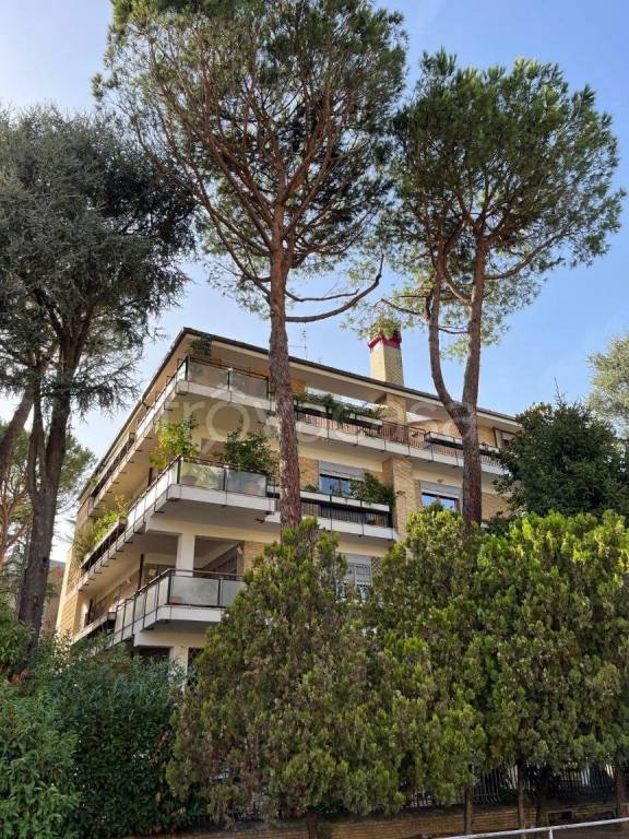 appartamento in vendita a Roma in zona Trionfale