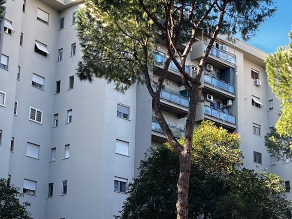 appartamento in vendita a Roma in zona Pietralata