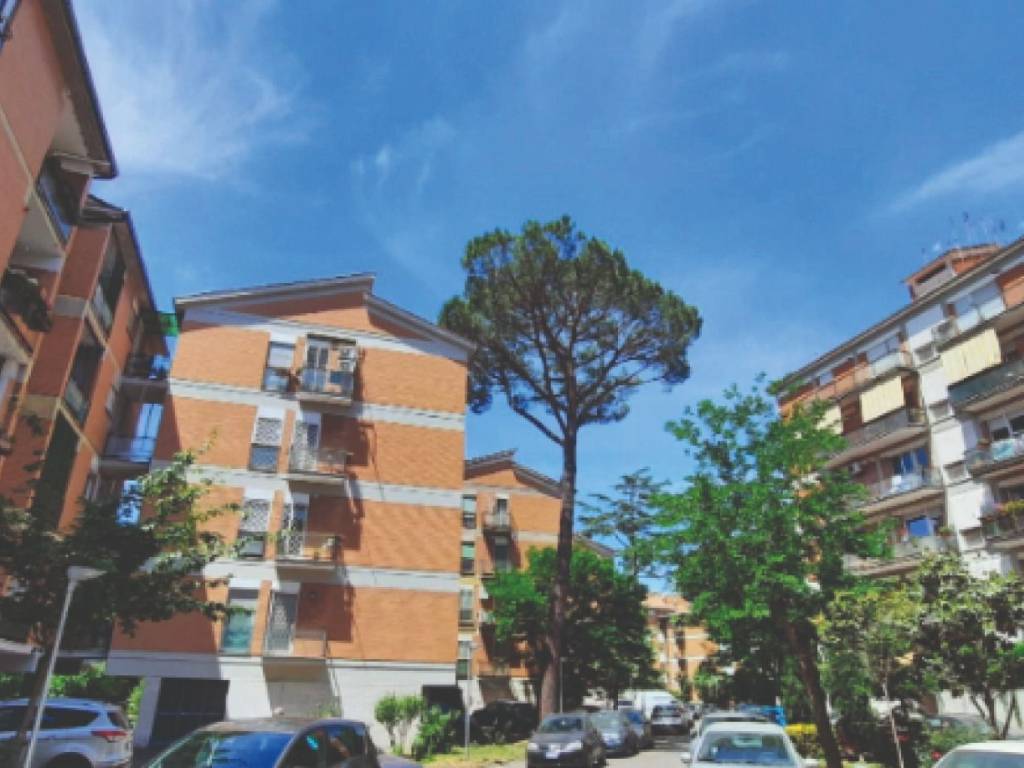 appartamento in vendita a Roma in zona Giuliano Dalmata