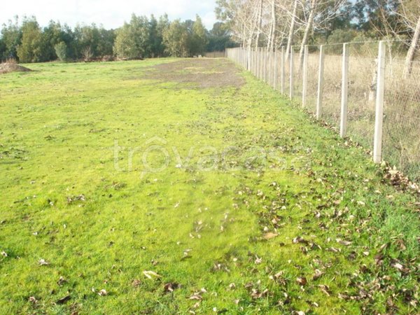 terreno agricolo in vendita a Roma in zona Casal Palocco