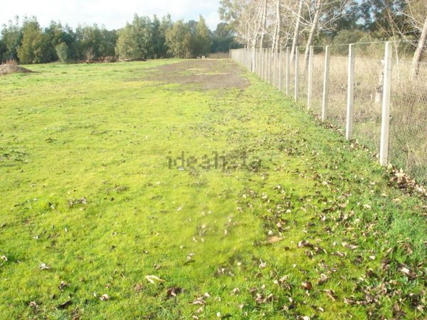 terreno agricolo in vendita a Roma in zona Casal Palocco