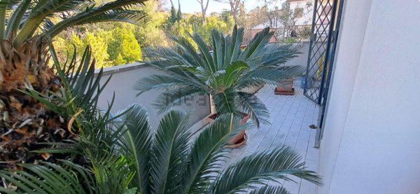 appartamento in vendita a Roma in zona Casalotti