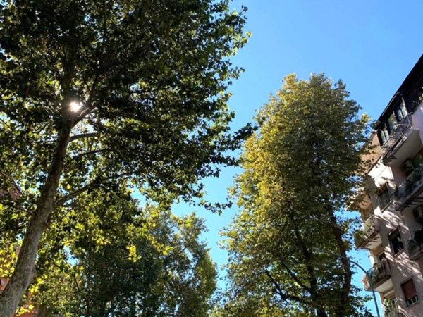 appartamento in vendita a Roma in zona Appio Latino