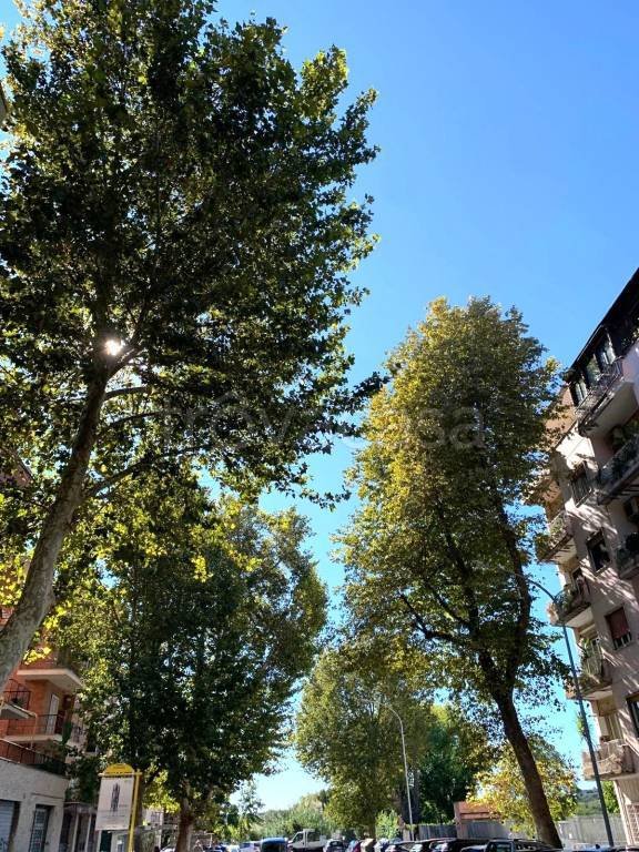 appartamento in vendita a Roma in zona Appio Latino