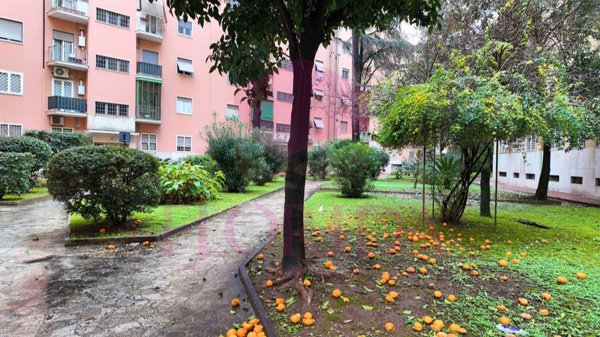 appartamento in vendita a Roma in zona Don Bosco