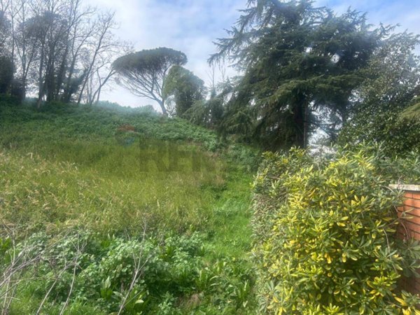 casa indipendente in vendita a Roma in zona Castel Giubileo