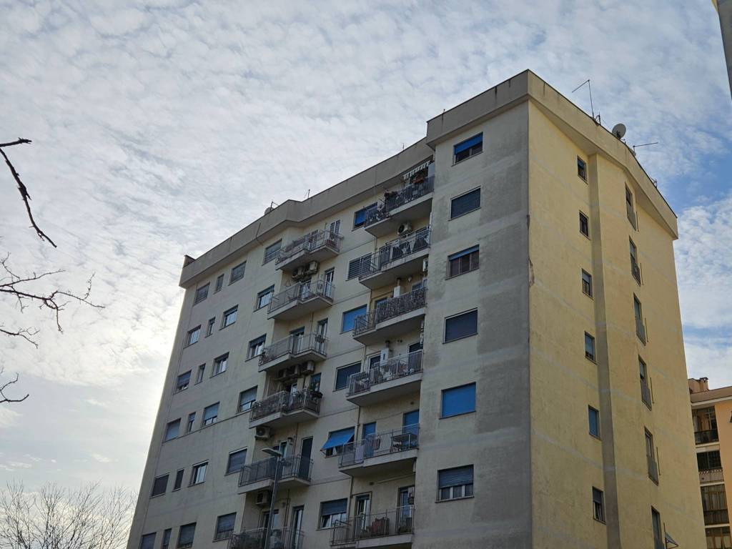 appartamento in vendita a Roma in zona Pietralata