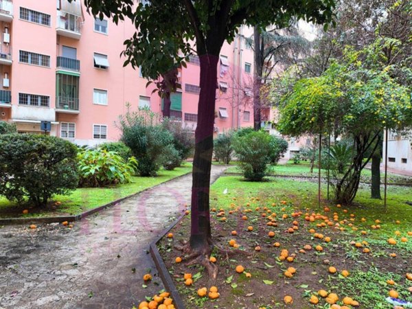 appartamento in vendita a Roma in zona Cinecittà