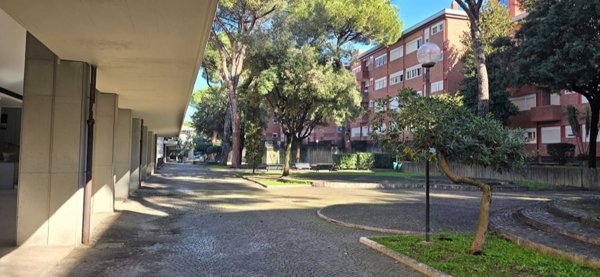 appartamento in vendita a Roma in zona Monte Sacro/Talenti