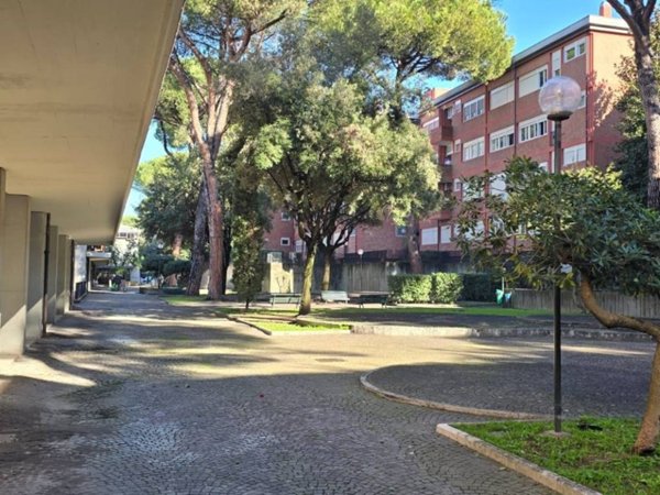 appartamento in vendita a Roma in zona Monte Sacro/Talenti