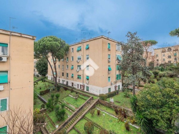 appartamento in vendita a Roma in zona Monte Sacro/Talenti