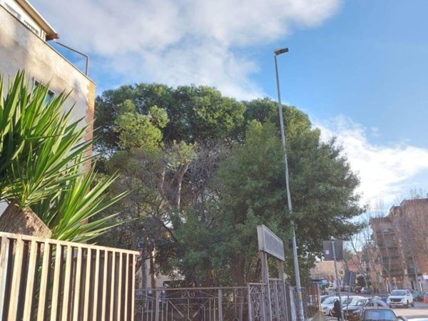 appartamento in vendita a Roma in zona Torre Maura