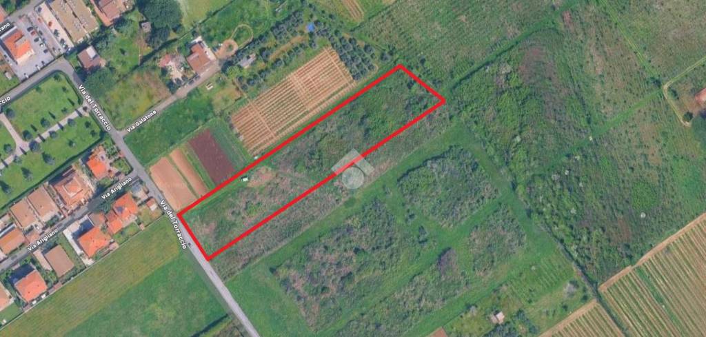 terreno agricolo in vendita a Roma in zona Torre Gaia