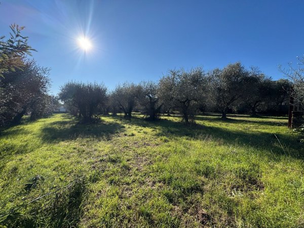 terreno edificabile in vendita a Roma in zona Case Rosse