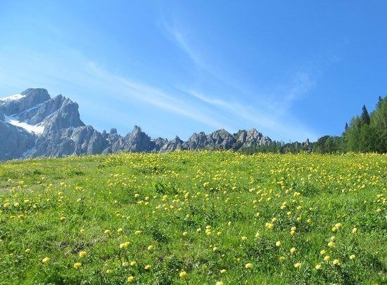 terreno agricolo in vendita a Roma in zona Infernetto