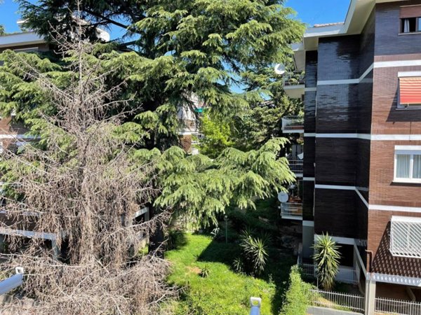 appartamento in vendita a Roma in zona Monte Sacro/Talenti