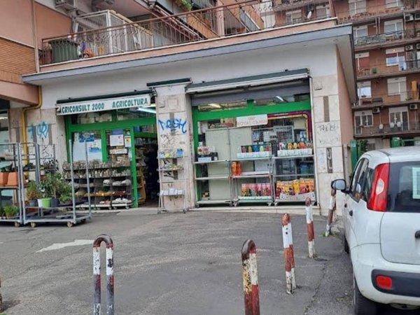 negozio in vendita a Roma in zona Appio Claudio