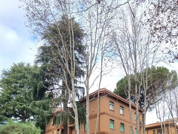 appartamento in vendita a Roma in zona Monte Sacro/Talenti