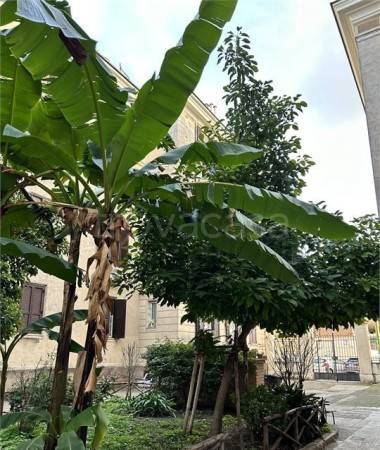 appartamento in vendita a Roma in zona Testaccio