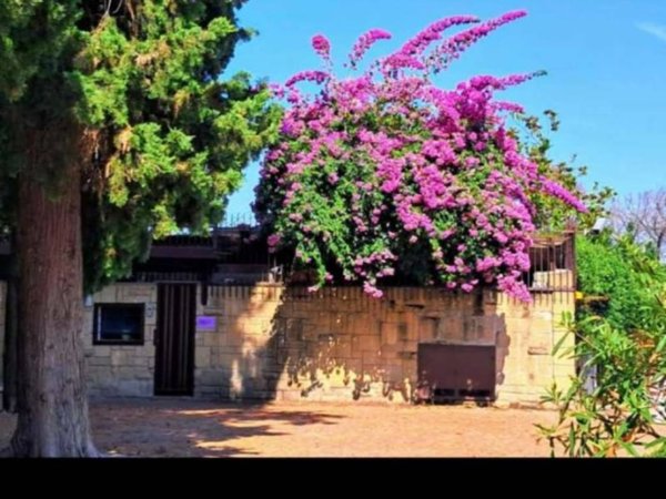 negozio in vendita a Roma in zona Torrino