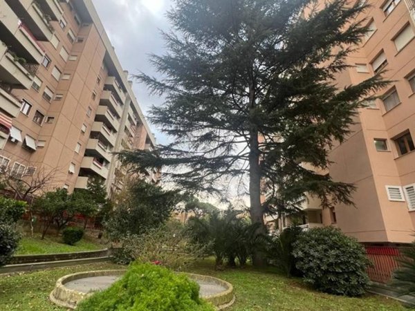 appartamento in vendita a Roma in zona Giuliano Dalmata