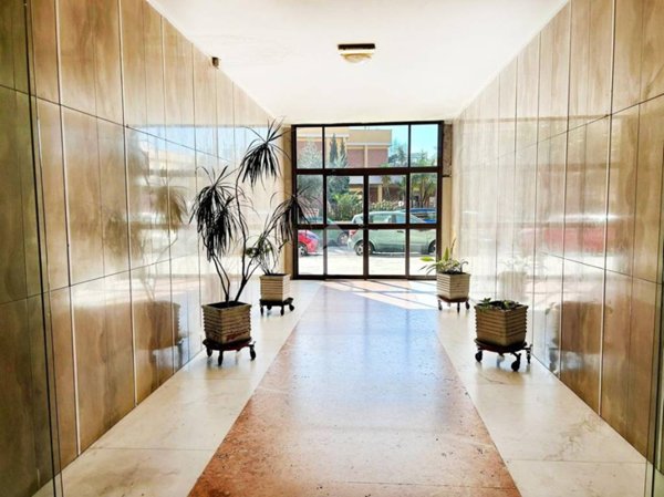 appartamento in vendita a Roma in zona Monte Sacro/Talenti