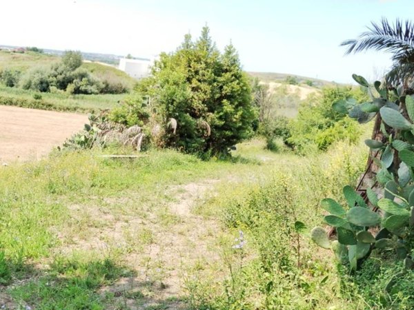 terreno agricolo in vendita a Roma in zona Massimina/Casal Lumbroso