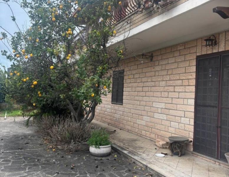 casa indipendente in vendita a Roma in zona Casal Palocco