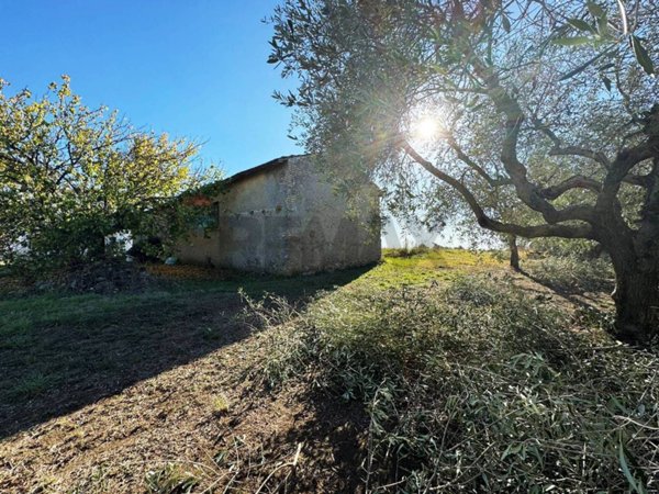 terreno agricolo in vendita a Roma in zona Torre Gaia