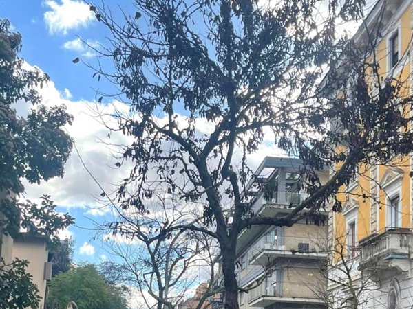 appartamento in vendita a Roma in zona Parioli