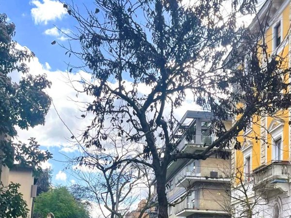 appartamento in vendita a Roma in zona Parioli