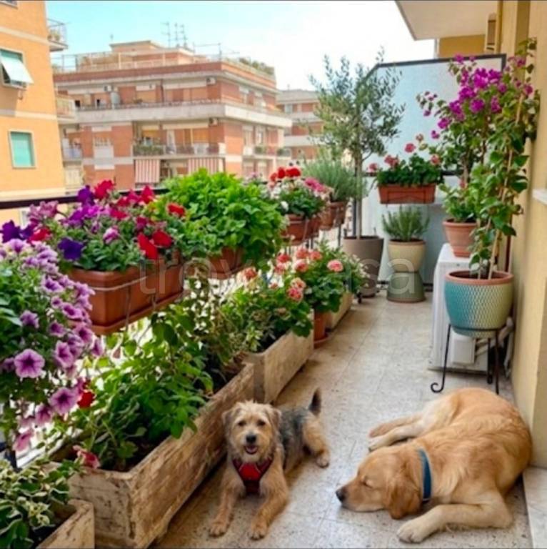 appartamento in vendita a Roma in zona Prenestino-Labicano