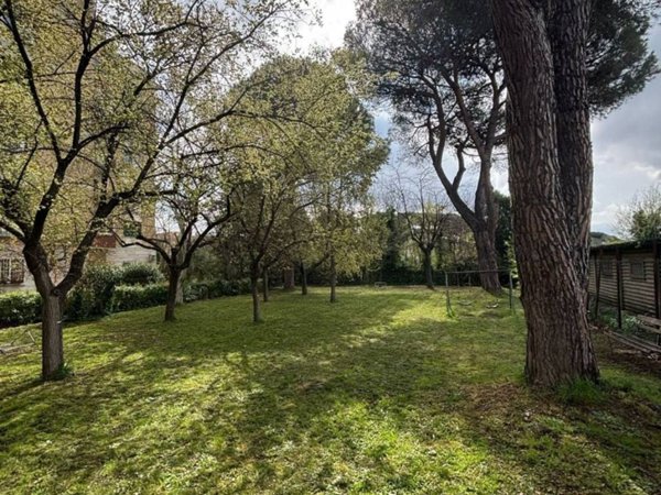 appartamento in vendita a Roma in zona Trionfale