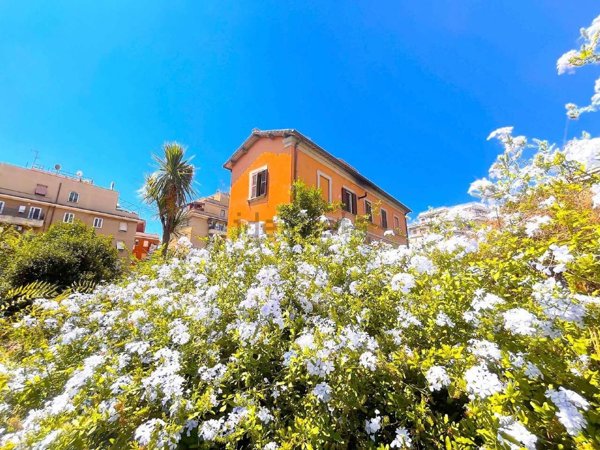 esavano in vendita a Roma in zona Appio Latino