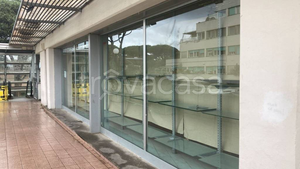 locale commerciale in vendita a Roma in zona Casal Palocco