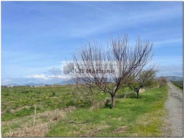 azienda agricola in vendita a Roma in zona Castelverde