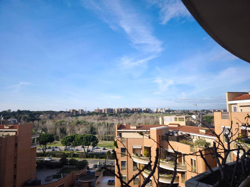 appartamento in vendita a Roma in zona Monte Sacro/Talenti