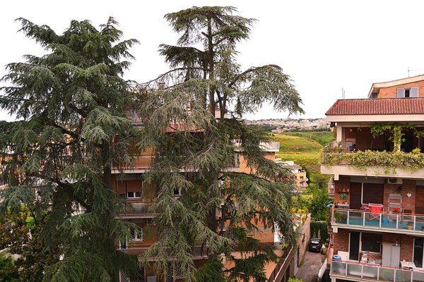 appartamento in vendita a Roma in zona Aurelio