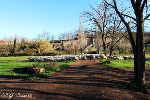 appartamento in vendita a Roma in zona Appio Latino
