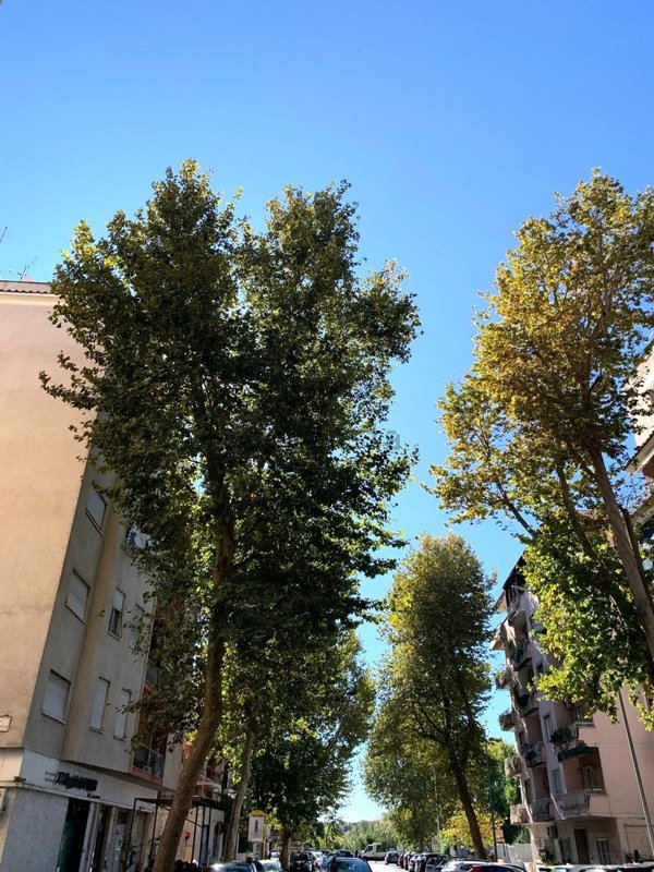 appartamento in vendita a Roma in zona Appio Latino