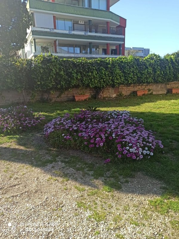 appartamento in vendita a Roma in zona Casalotti