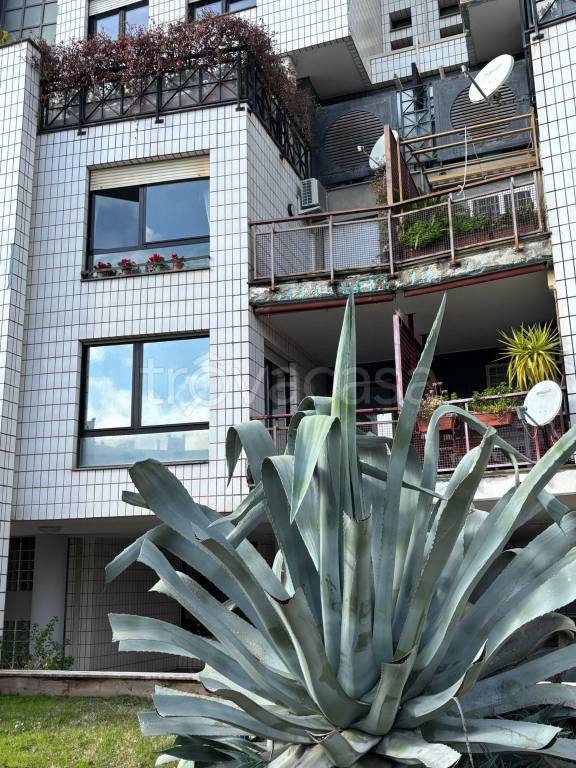 appartamento in vendita a Roma in zona Ardeatino