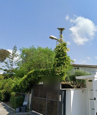 casa indipendente in vendita a Roma in zona Infernetto