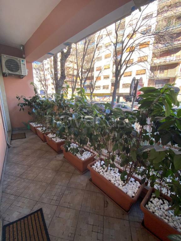 appartamento in vendita a Roma in zona Trieste