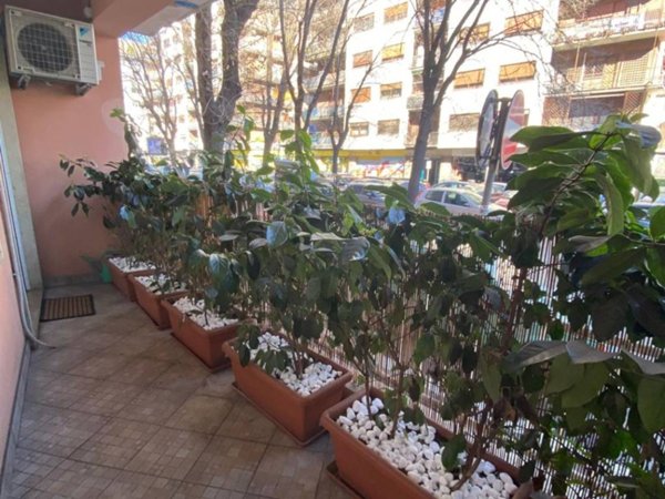 appartamento in vendita a Roma in zona Trieste