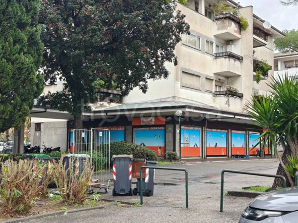 negozio in vendita a Roma in zona Casal Palocco