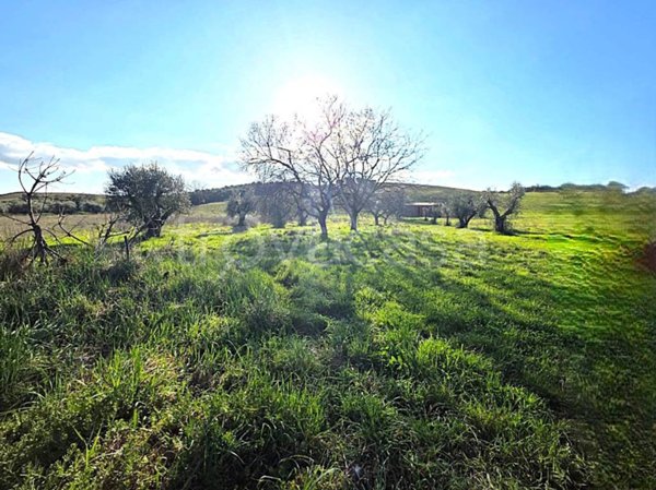 casa indipendente in vendita a Roma in zona Cesano
