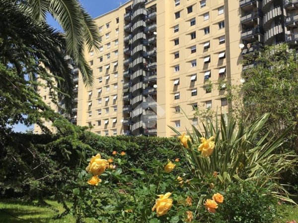appartamento in vendita a Roma in zona Collatino