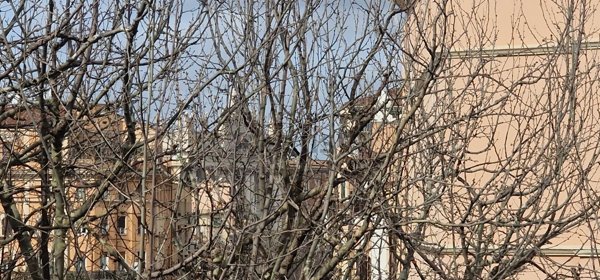 appartamento in vendita a Roma in zona Appio Latino